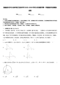 湖南省长沙市大附中博才实验中学2023-2024学年九年级数学第一学期期末检测模拟试题含答案