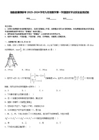 湖南省澧县联考2023-2024学年九年级数学第一学期期末学业质量监测试题含答案