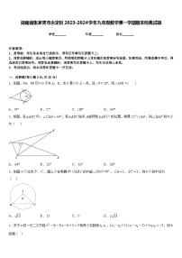 湖南省张家界市永定区2023-2024学年九年级数学第一学期期末经典试题含答案