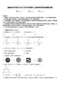 湖南省长沙市名校2023-2024学年数学九上期末教学质量检测模拟试题含答案