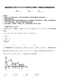 湖南省邵阳市大祥区2023-2024学年数学九年级第一学期期末质量跟踪监视试题含答案