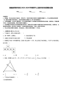 湖南省岳阳市名校2023-2024学年数学九上期末综合测试模拟试题含答案