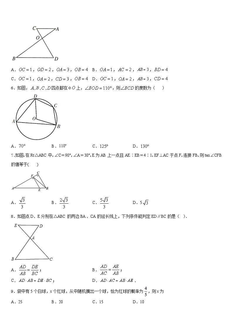 湖南省隆回县2023-2024学年数学九年级第一学期期末调研模拟试题含答案02