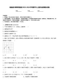 湖南省长郡教育集团2023-2024学年数学九上期末监测模拟试题含答案