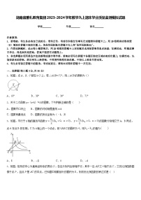 湖南省雅礼教育集团2023-2024学年数学九上期末学业质量监测模拟试题含答案