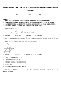 湖南省长沙市雅实、北雅、长雅三校2023-2024学年九年级数学第一学期期末复习检测模拟试题含答案