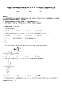 湖南省长沙市芙蓉区长郡芙蓉中学2023-2024学年数学九上期末考试试题含答案