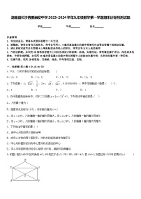 湖南省长沙青雅丽发中学2023-2024学年九年级数学第一学期期末达标检测试题含答案