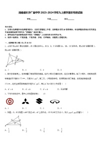 湖南省长沙广益中学2023-2024学年九上数学期末检测试题含答案