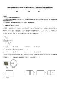 福建省福州市名校2023-2024学年数学九上期末教学质量检测模拟试题含答案