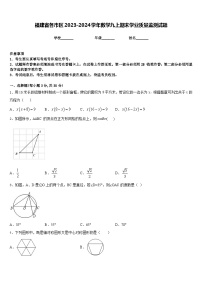 福建省各市区2023-2024学年数学九上期末学业质量监测试题含答案