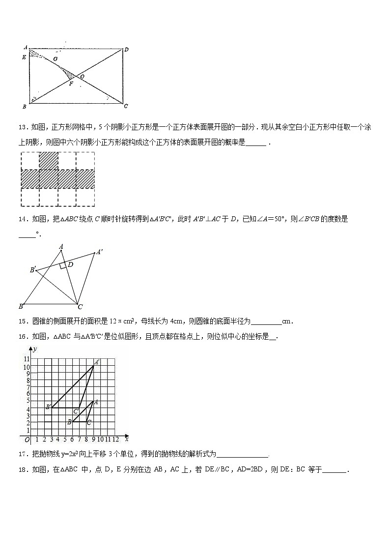 福建省厦门市逸夫中学2023-2024学年九年级数学第一学期期末考试模拟试题含答案03