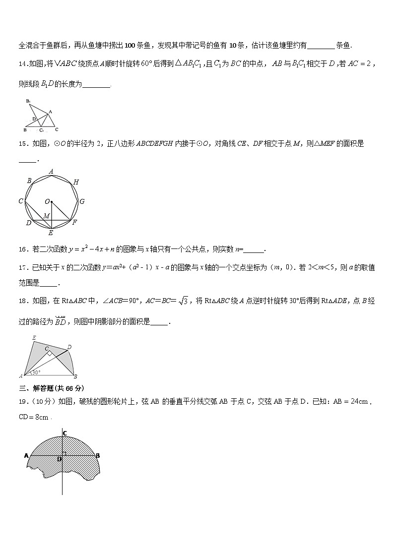 贵州省从江县2023-2024学年九上数学期末教学质量检测试题含答案03