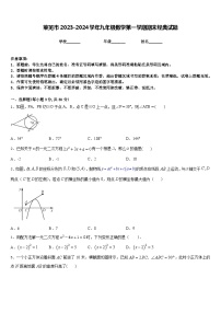 莱芜市2023-2024学年九年级数学第一学期期末经典试题含答案