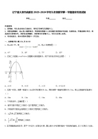 辽宁省大连市高新区2023-2024学年九年级数学第一学期期末检测试题含答案