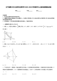 辽宁省营口市大石桥市石佛中学2023-2024学年数学九上期末调研模拟试题含答案