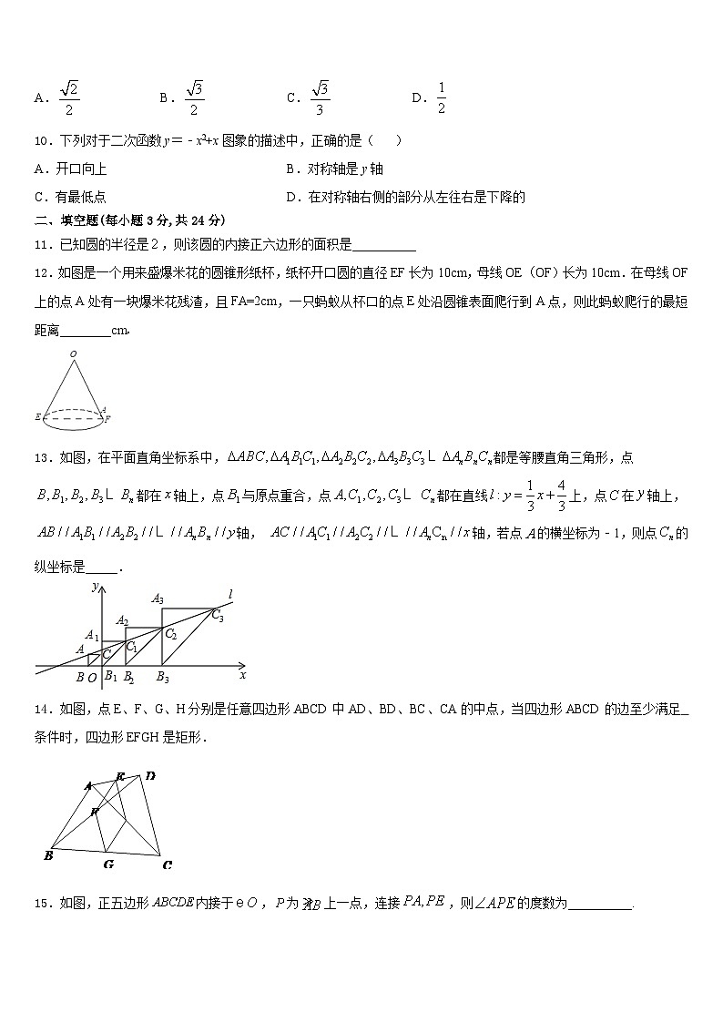 辽宁省沈阳市苏家屯区2023-2024学年九上数学期末统考模拟试题含答案第3页