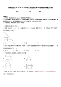 陕西省定边县2023-2024学年九年级数学第一学期期末调研模拟试题含答案