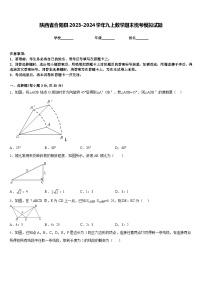 陕西省合阳县2023-2024学年九上数学期末统考模拟试题含答案