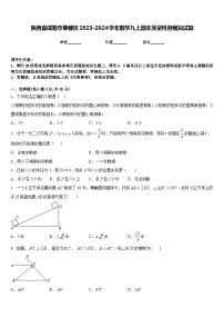 陕西省咸阳市秦都区2023-2024学年数学九上期末质量检测模拟试题含答案