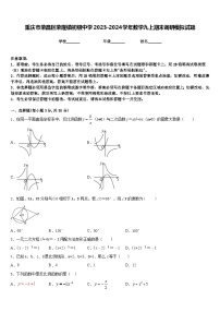 重庆市荣昌区荣隆镇初级中学2023-2024学年数学九上期末调研模拟试题含答案