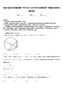 黑龙江省安达市吉星岗镇第一中学2023-2024学年九年级数学第一学期期末质量检测模拟试题含答案