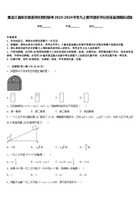 黑龙江省哈尔滨道外区四校联考2023-2024学年九上数学期末学业质量监测模拟试题含答案