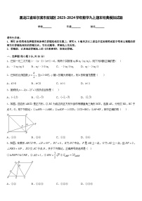 黑龙江省哈尔滨市双城区2023-2024学年数学九上期末经典模拟试题含答案