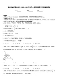 黑龙江省伊春市名校2023-2024学年九上数学期末复习检测模拟试题含答案