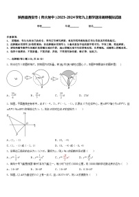 陕西省西安市（师大附中）2023-2024学年九上数学期末调研模拟试题含答案