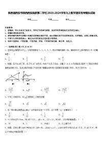 陕西省西安市陕西西安高新第二学校2023-2024学年九上数学期末统考模拟试题含答案