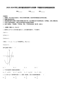 2023-2024学年上海市浦东新区数学九年级第一学期期末质量跟踪监视试题含答案