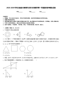 2023-2024学年云南省大理州祥云县九年级数学第一学期期末联考模拟试题含答案