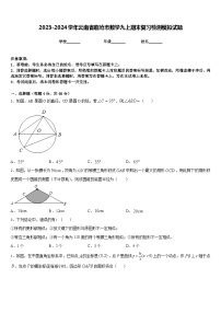 2023-2024学年云南省临沧市数学九上期末复习检测模拟试题含答案