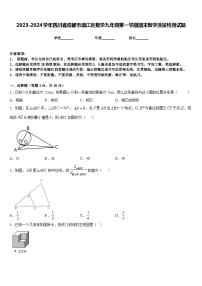 2023-2024学年四川省成都市温江区数学九年级第一学期期末教学质量检测试题含答案