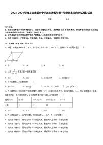 2023-2024学年吴忠市重点中学九年级数学第一学期期末综合测试模拟试题含答案