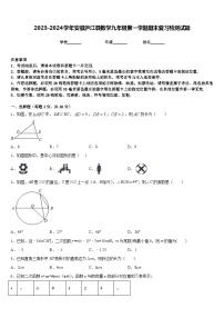 2023-2024学年安徽庐江县数学九年级第一学期期末复习检测试题含答案