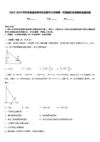 2023-2024学年安徽省池州市名校数学九年级第一学期期末质量跟踪监视试题含答案