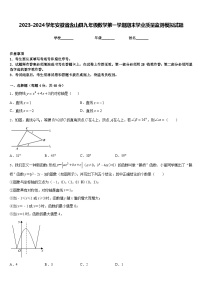 2023-2024学年安徽省含山县九年级数学第一学期期末学业质量监测模拟试题含答案