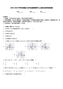 2023-2024学年安徽省六安市金寨县数学九上期末质量检测试题含答案