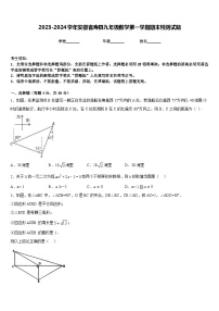 2023-2024学年安徽省寿县九年级数学第一学期期末检测试题含答案