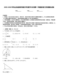 2023-2024学年山东省滨州市部分学校数学九年级第一学期期末复习检测模拟试题含答案