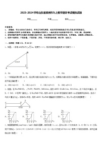 2023-2024学年山东省滨州市九上数学期末考试模拟试题含答案