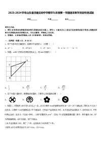 2023-2024学年山东省济南实验中学数学九年级第一学期期末教学质量检测试题含答案