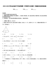 2023-2024学年山东省济宁市鲁桥镇第一中学数学九年级第一学期期末质量检测试题含答案