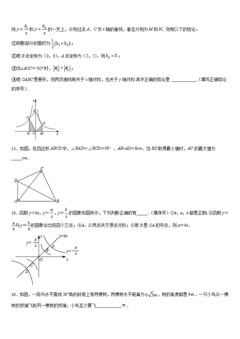2023-2024学年山东省济宁市微山县九上数学期末复习检测试题含答案第3页