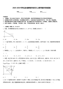 2023-2024学年山东省聊城市名校九上数学期末检测试题含答案