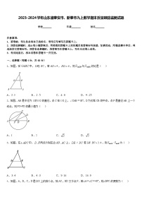 2023-2024学年山东省泰安市、新泰市九上数学期末质量跟踪监视试题含答案