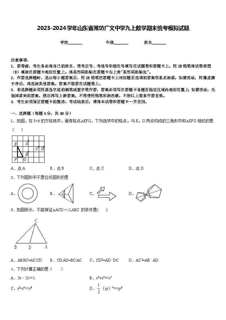 2023-2024学年山东省潍坊广文中学九上数学期末统考模拟试题含答案01