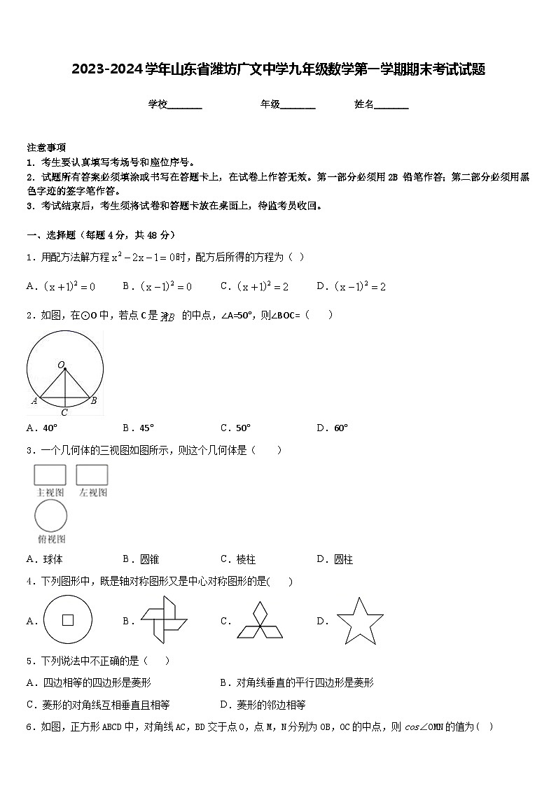 2023-2024学年山东省潍坊广文中学九年级数学第一学期期末考试试题含答案第1页